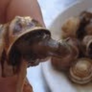 Meet your Posher, Brent